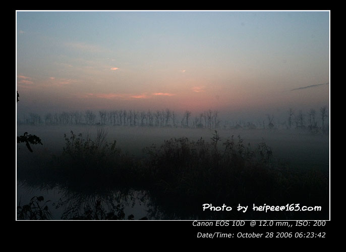 IMG_8184.jpg