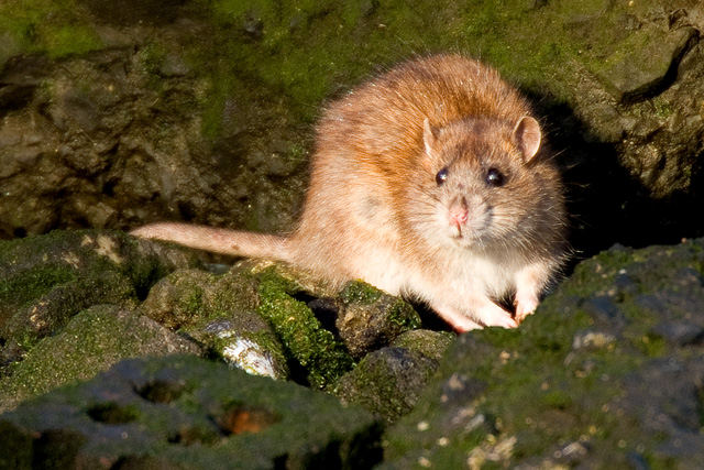 DSCF9227.jpg