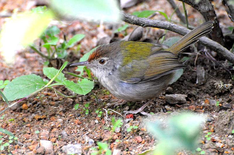 DSC_5159.JPG