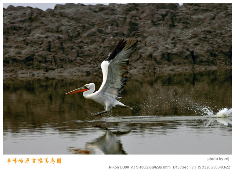 DSC_4143aa333.jpg