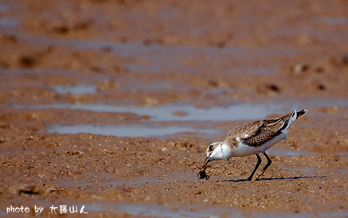 DSC_2132副本3.jpg