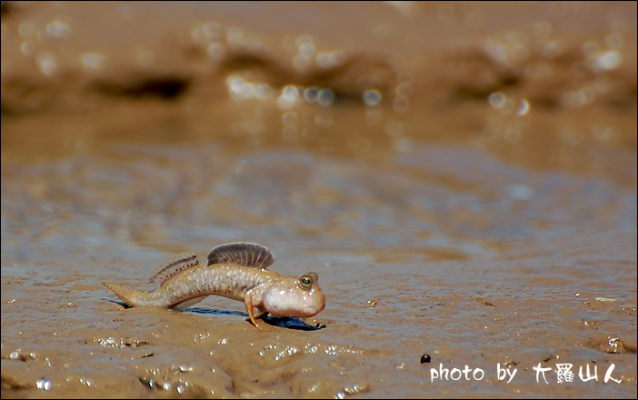 DSC_2084副本3.jpg