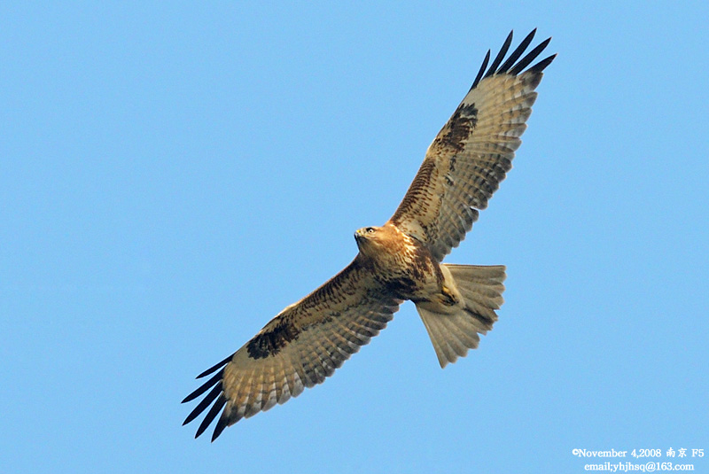 DSC_7260 拷贝.jpg