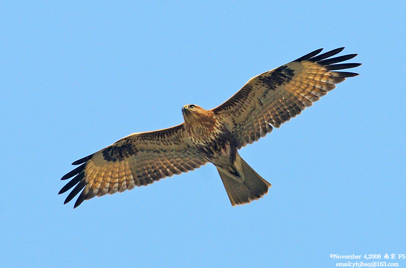 DSC_7275 拷贝.jpg