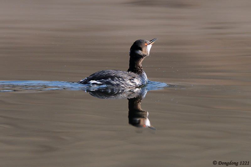 DSC_0541 拷贝.jpg