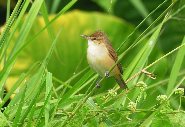 DSC_4835.JPG