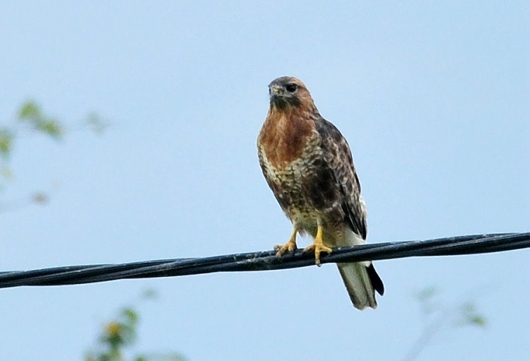 DSC_6214.jpg