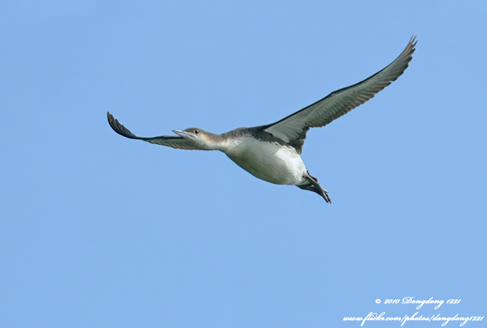 DSC_8754 拷贝.jpg