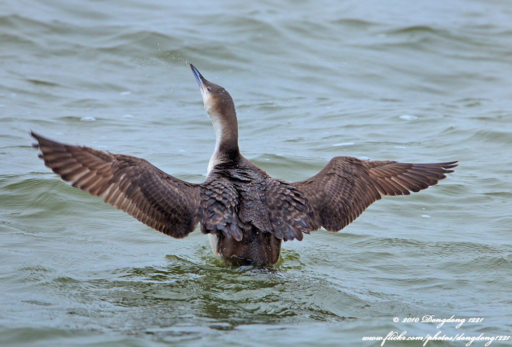 DSC_7622 拷贝.jpg