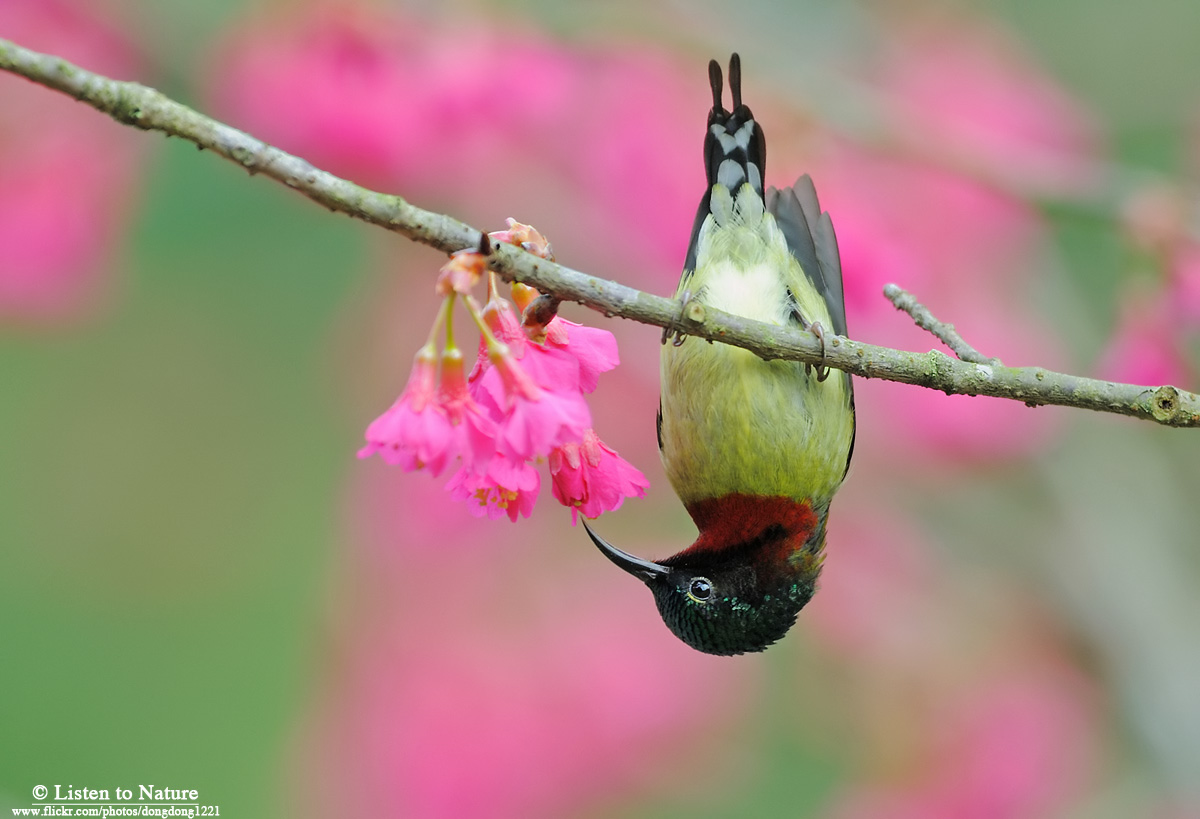 DSC_5139副本.jpg