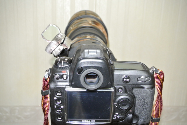 DSC_1753.JPG