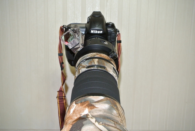 DSC_1756.JPG