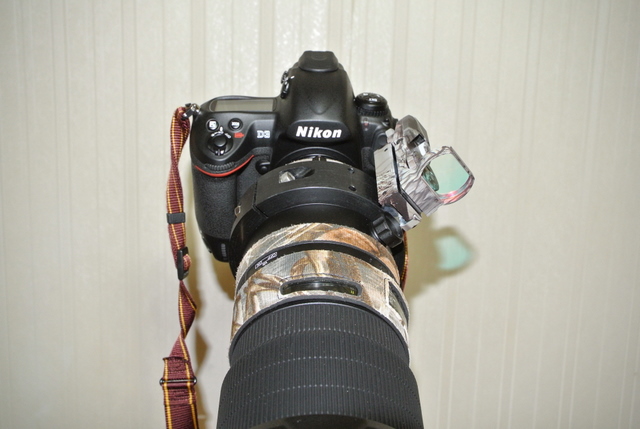DSC_1758.JPG