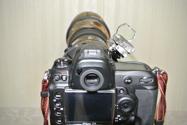 DSC_1754.JPG